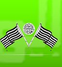 Jamiat Ulama i Hind Flag